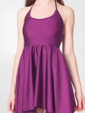 American Apparel Plum Skater Dress